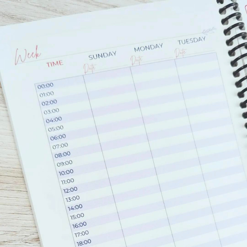 The Nursing School Life Map and 5-Month Undated Planner
